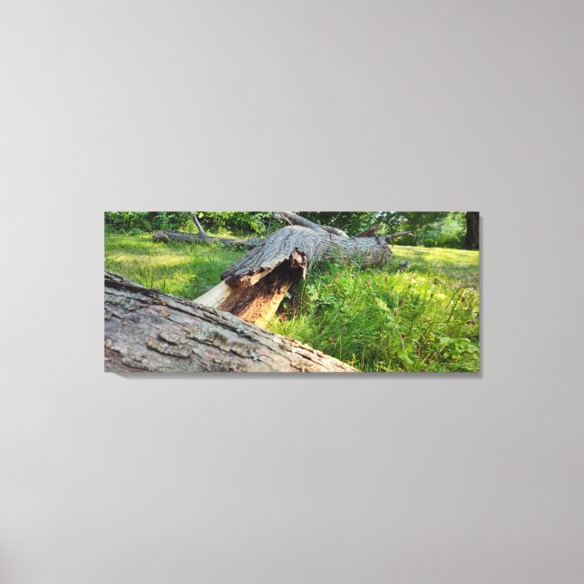 Lienzo Arañados y en chispas (Anverso)