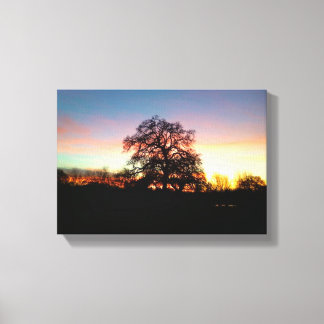 Lienzo árbol al atardecer