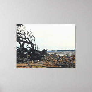Lienzo Árbol azotado por el viento junto a costa rocosa