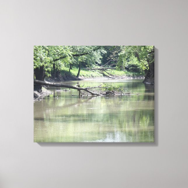 Lienzo Árbol caído en el agua (Anverso)