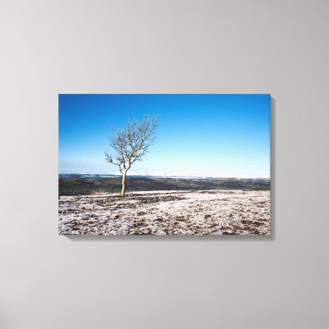 Lienzo Árbol cicatriz Viejo hombre de fondo de Conistón (Anverso)