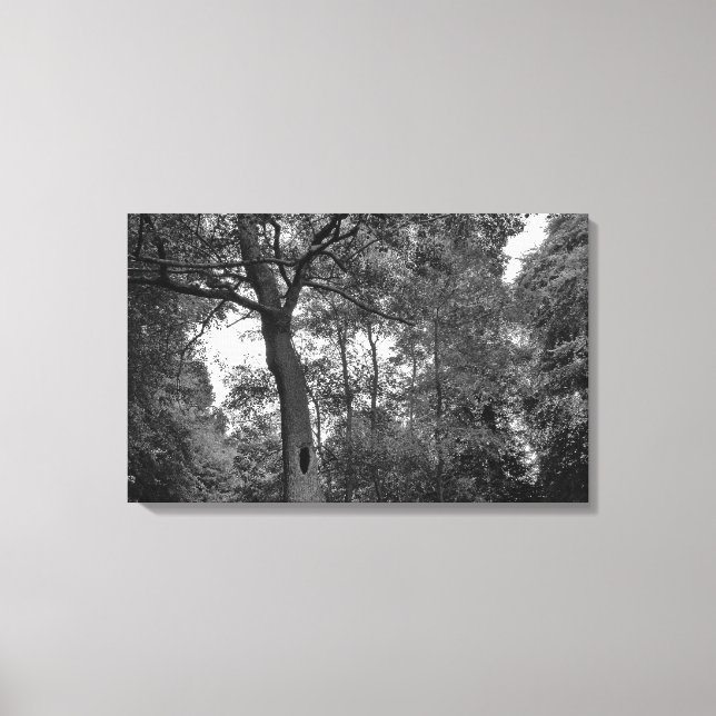 Lienzo Árbol con un agujero misterioso II (Anverso)