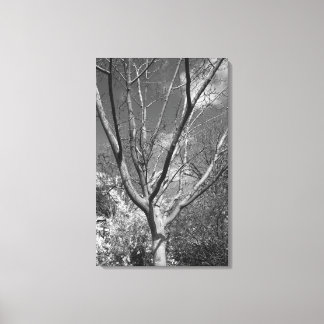 Lienzo Árbol de adoración de Sun