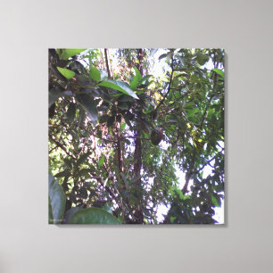 Lienzo Árbol de aguacate - Borde verde oliva