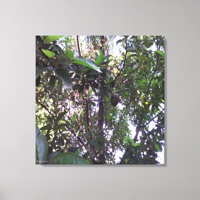 Lienzo Árbol de aguacate - Borde verde oliva (Anverso)