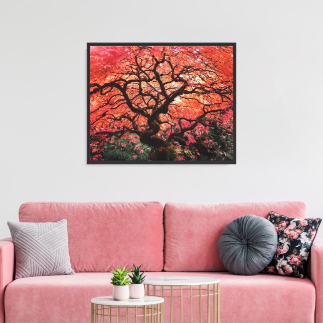 Lienzo Árbol de arce japonés otoñal que llama (Insitu (Sala de estar))