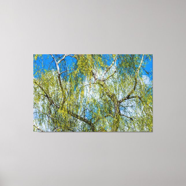 Lienzo Árbol de aves - La primavera está en el aire (Anverso)