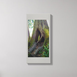 Lienzo Árbol de Catedral, Astoria, OR