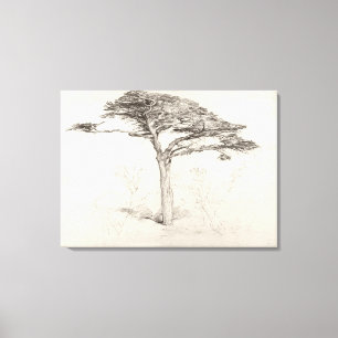 Lienzo Árbol de cedro viejo en el jardín botánico,