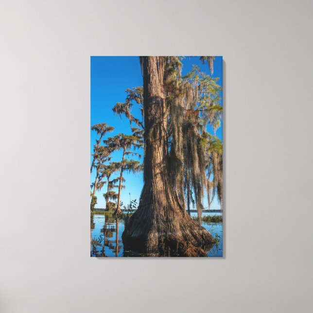 Lienzo Árbol de cipreses en un pantano (Anverso)