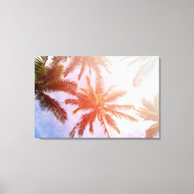 Lienzo Árbol de coco con luz solar (Anverso)