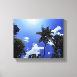 Lienzo Árbol de coco y cielo