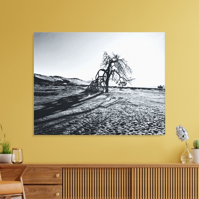Lienzo Árbol de desierto de Namibia B+W (Insitu (Sala de estar))