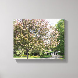 Lienzo Árbol de Flor de Manzana