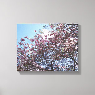 Lienzo Árbol de flores de cerezo