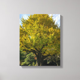 Lienzo Árbol de Ginkgo del Amarillo Dorado