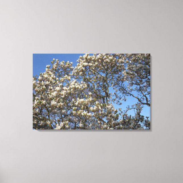 Lienzo Árbol de Magnolia (Anverso)