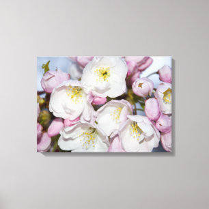 Lienzo Árbol de manzana florece en el acrílico bloque de 