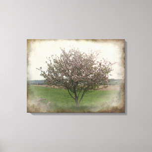 Lienzo Árbol de manzanas en flor