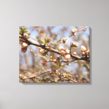 Árbol de manzanas en llamas