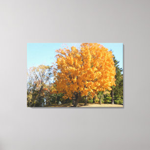 Lienzo Árbol de oro en otoño
