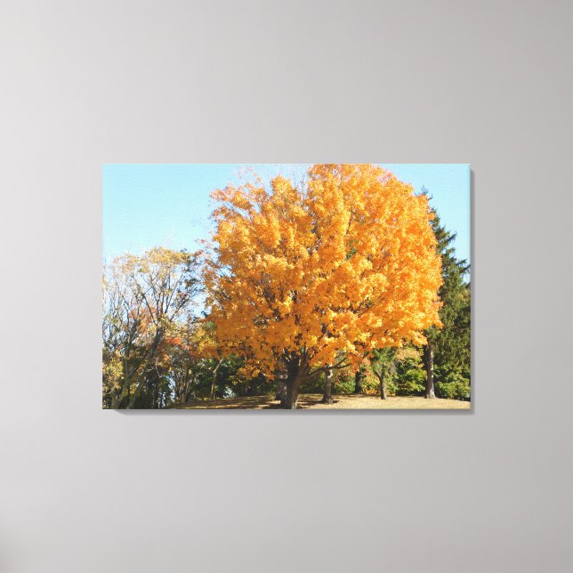 Lienzo Árbol de oro en otoño (Anverso)