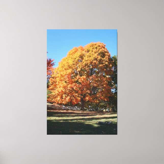 Lienzo Árbol de otoño brillante - Hubbell, Michigan (Anverso)