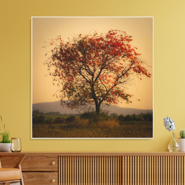 Lienzo Árbol de otoño solitario en el atardecer (Insitu (Sala de estar))