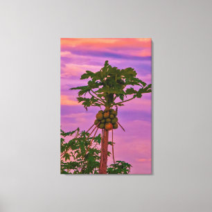 Lienzo Árbol De Papaya Y Atardecer Brasileño