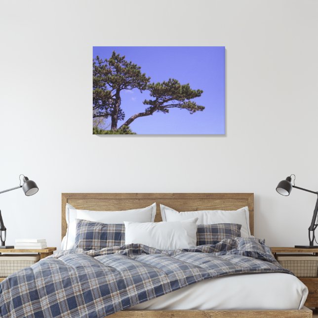 Lienzo Árbol de pinos de 36" x 24" (Insitu(Dormitorio))