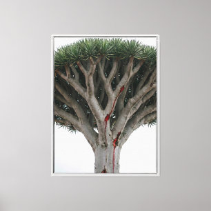 Lienzo Árbol de Sangre de Dragón Paisaje Místico Surreal