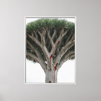 Lienzo Árbol de Sangre de Dragón  Paisaje Místico Surreal