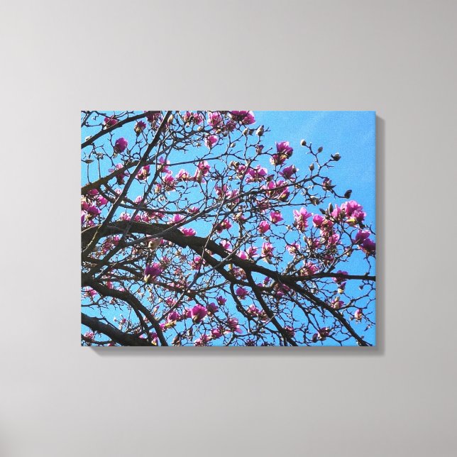 Lienzo Árbol de tulipán (Anverso)