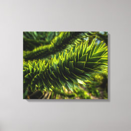 Lienzo Árbol del rompecabezas del mono - Fotografía del á