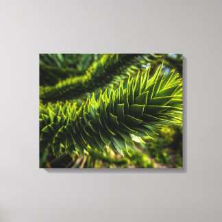 Lienzo Árbol del rompecabezas del mono - Fotografía del á