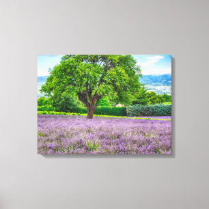 Lienzo Árbol en Campo de Lavanda, Francia