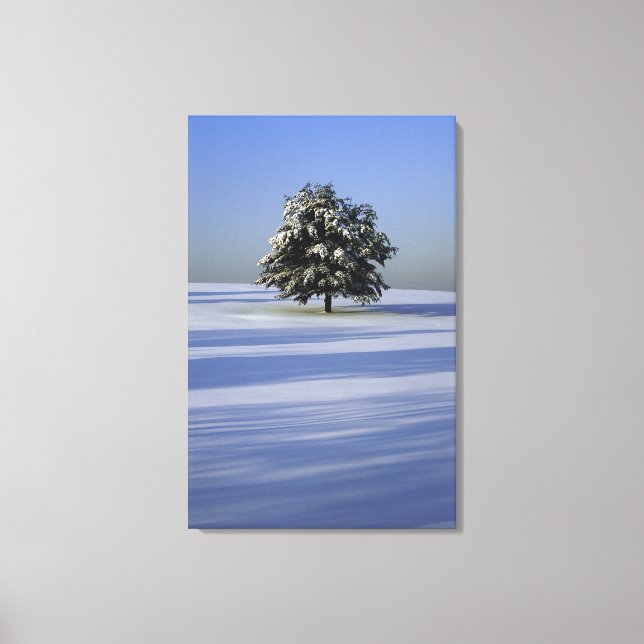 Lienzo Árbol en el paisaje cubierto de nieve (Anverso)