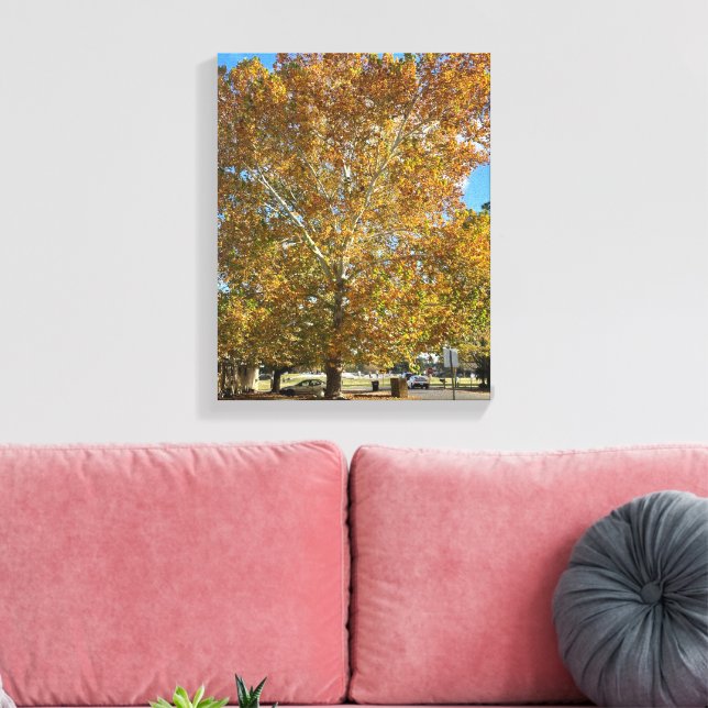 Lienzo Árbol en la hora dorada (Insitu (Sala de estar))