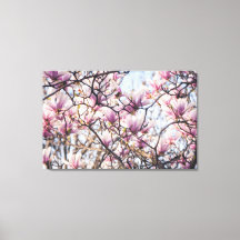 Árbol floreciente de Magnolia