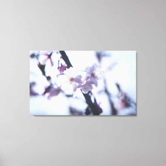 Lienzo Árbol floreciente de primavera (Anverso)