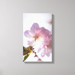 Lienzo Árbol floreciente de primavera