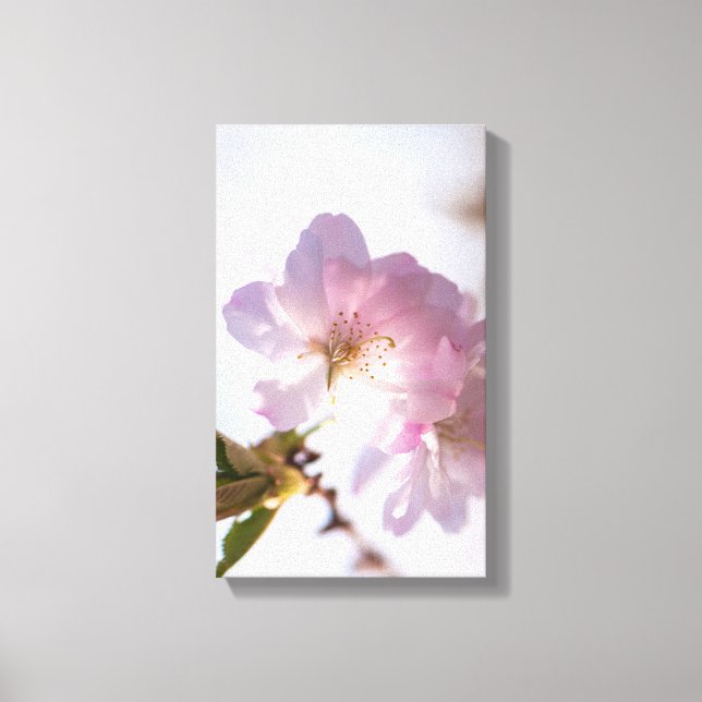 Lienzo Árbol floreciente de primavera (Anverso)