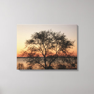 Lienzo Árbol grande