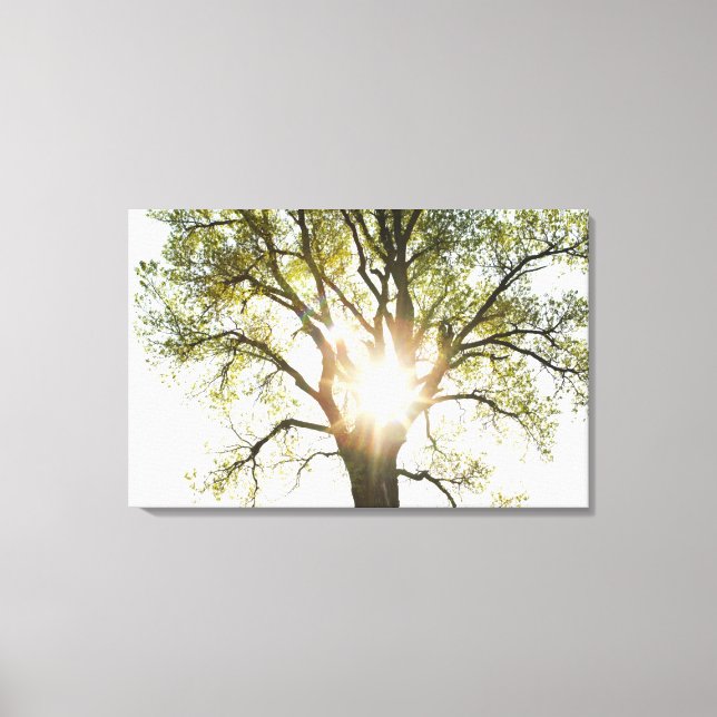 Lienzo Árbol iluminado (Anverso)