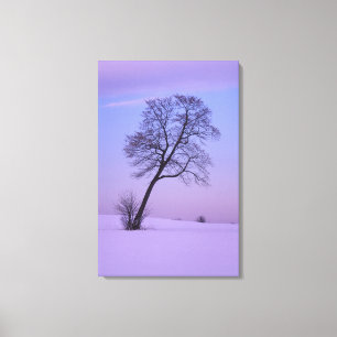 Lienzo Árbol inclinado en campo de nieve; condado de Chip