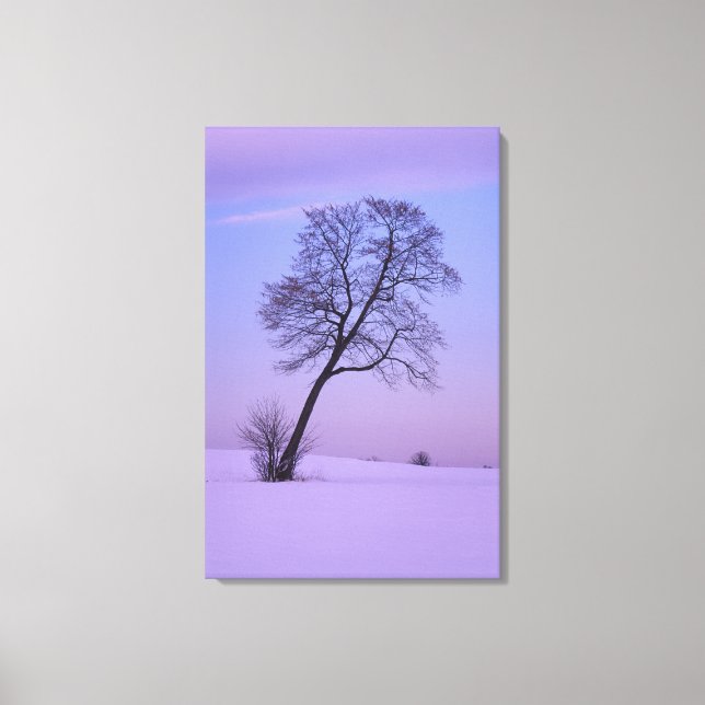 Lienzo Árbol inclinado en campo nevado; Condado de Chippe (Anverso)