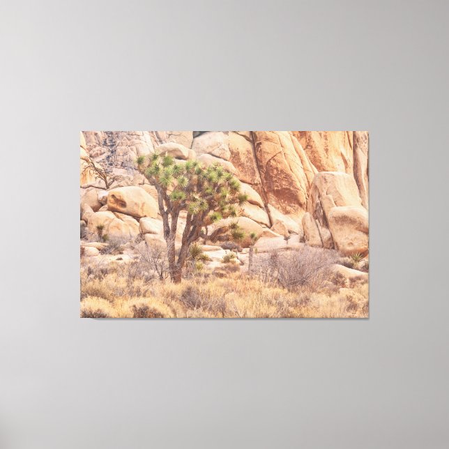 Lienzo Árbol Joshua en el desierto (Anverso)