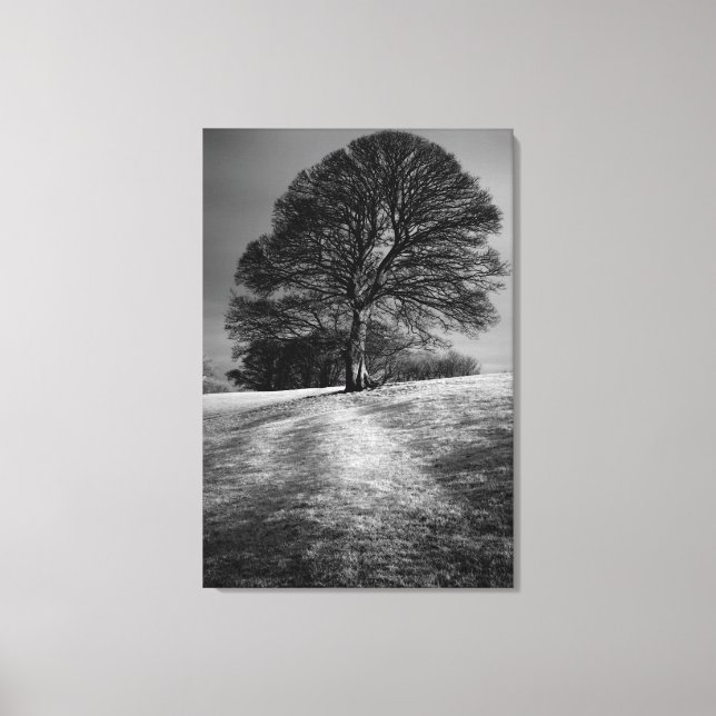 Lienzo Árbol modelado por el viento (Anverso)