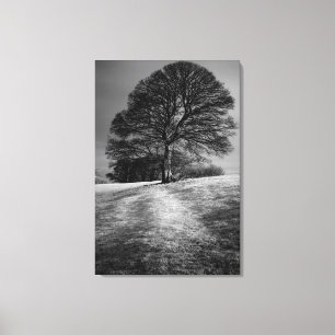 Lienzo Árbol modelado por el viento