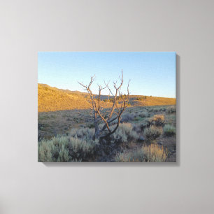 Lienzo Árbol muerto en el desierto de Nevada